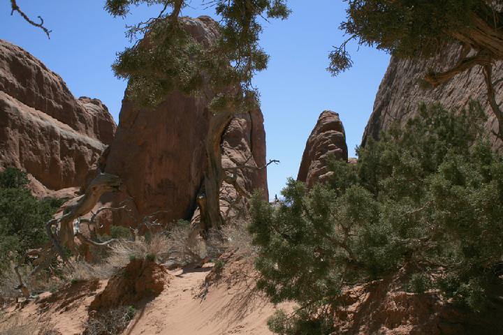 10-Arches 0090.JPG